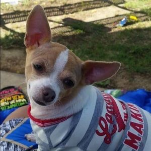 Meet your Posher, Lashana